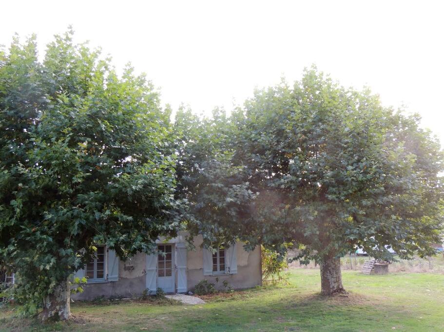 Villa Entre Chevreuil Et Cerf Belin-Beliet Exterior foto