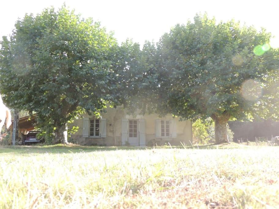 Villa Entre Chevreuil Et Cerf Belin-Beliet Exterior foto